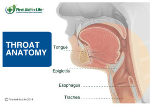 Clearing the airway