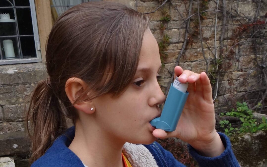 Asthma – why tree pollen, alcohol and cold make it worse